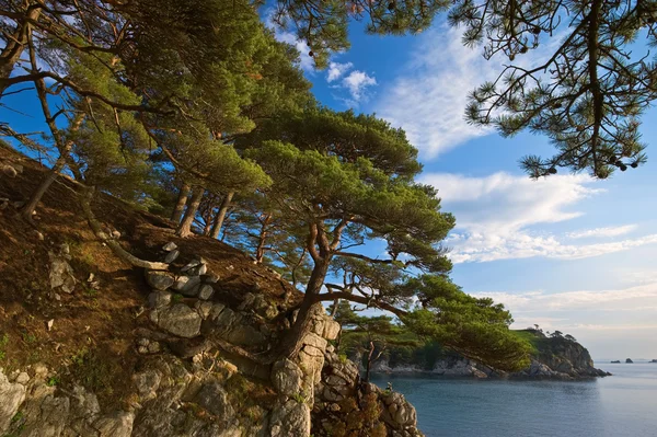 Mattinata tranquilla in spiaggia . — Foto Stock