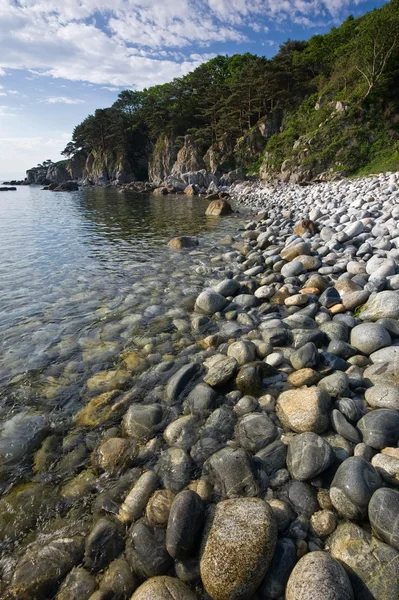 Mañana en la playa de guijarros . — Foto de Stock