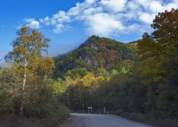 Sikhote-Alin dağlarda sonbahar yol. — Stok fotoğraf