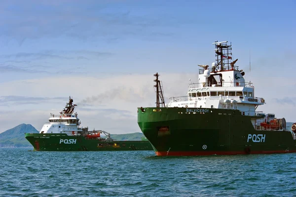 Large tugs Posh Constant and Salviceroy at anchor in the roads. Nakhodka Bay. East (Japan) Sea. 01.06.2012 — Stock Photo, Image