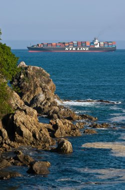 Konteyner gemisi Nyk Argus yeşil kıyı boyunca çalışır. Nakhodka Bay. Doğu (Japonya) deniz. 27.05.2014