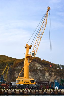 Büyük rıhtımda çalışan Liebherr vinç. Nakhodka Bay. Doğu (Japonya) deniz. 20.10.2012