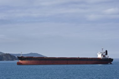 Ricstar bağlantı noktasına taşır taşıyıcı toplu. Nakhodka Bay. Doğu (Japonya) deniz. 17.05.2014