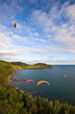 Dört paraşütler sahil üzerinde uçan.