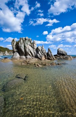 Parlak, güneşli manzara sahil.