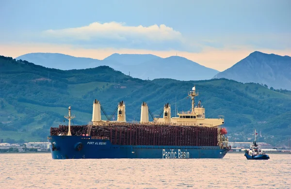 Корабль в Порт Альберни загружен бревен на якорь на дорогах. Залив Находка. Восточное (Япония) море. 30.10.2015 — стоковое фото