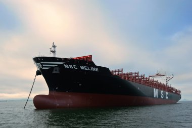 Nakhodka, Rusya Federasyonu-22.07.2015: konteyner gemisi Msc Meline ayakta çapa, yollarda. Nakhodka Bay. Doğu (Japonya) deniz. 22.07.2015
