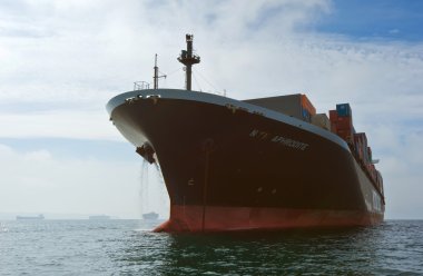 Konteyner gemisi Nyk Aphrodite çapa, yollarda ayakta. Nakhodka Bay. Doğu (Japonya) deniz. 17.09.2015