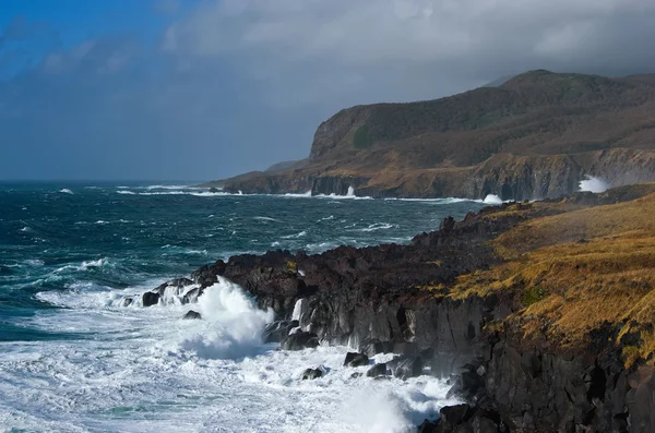 Deniz kenarı güçlü fırtına.