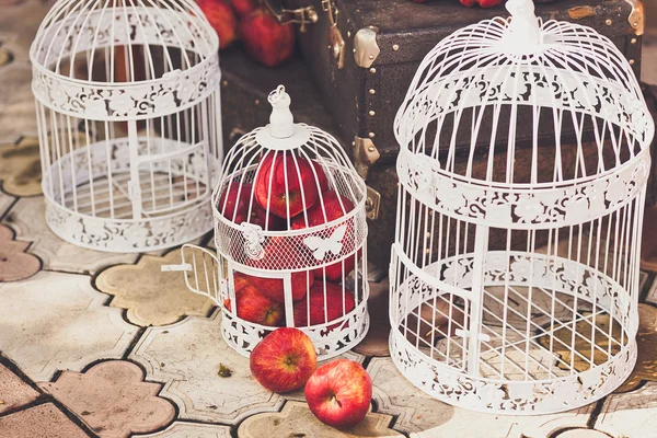 White bird cages with red apples inside and suitcase on background wedding photozone decortion - Stok İmaj