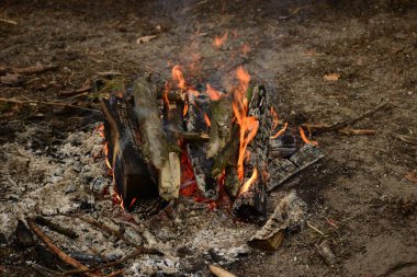 Ormandaki şöminede ateş yanıyor.