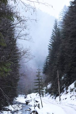 Dağlar arasındaki nehrin yanındaki ormanda kış yolu. 