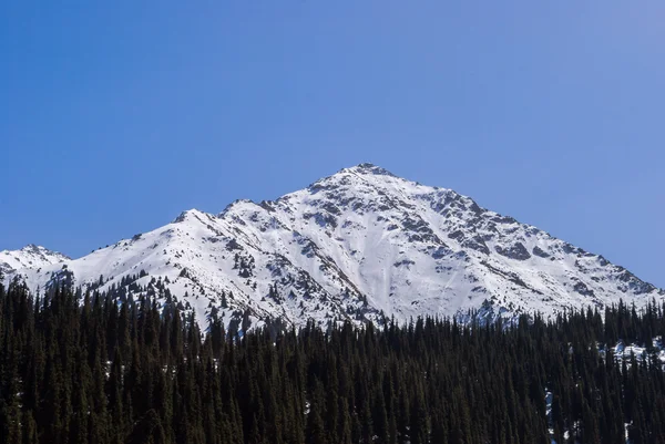 Peisajele montane — Fotografie, imagine de stoc