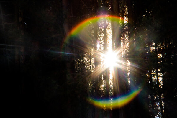 Еру sun light divide into the rays and rainbow