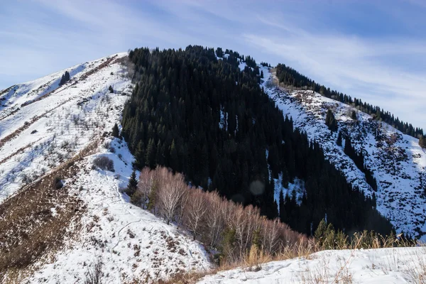 The mountain landscapes — Stock Photo, Image