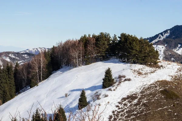 The mountain landscapes — Stock Photo, Image