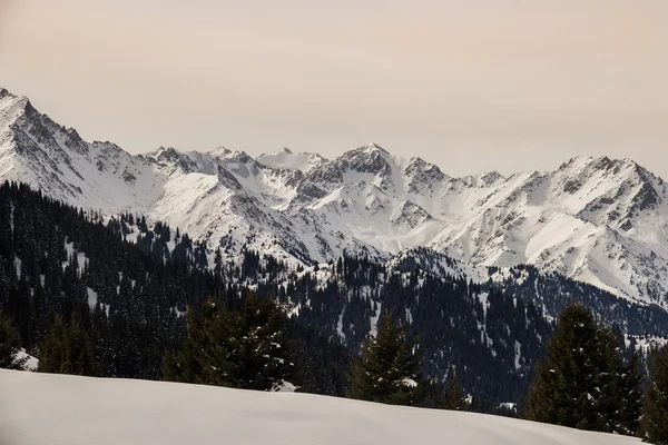 The mountain landscapes — Stock Photo, Image