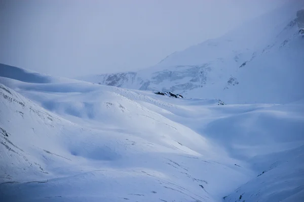 Die Schneealmwiese — Stockfoto