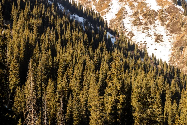 As paisagens de montanha — Fotografia de Stock