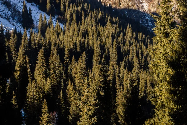 山风景 — 图库照片