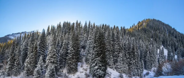 The mountain landscapes — Stock Photo, Image