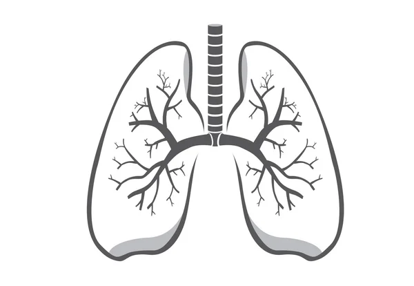 Lung symbol gray color — Stock Vector