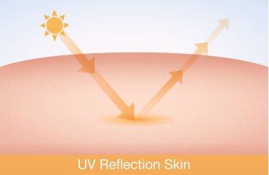 UV yansıma cilt