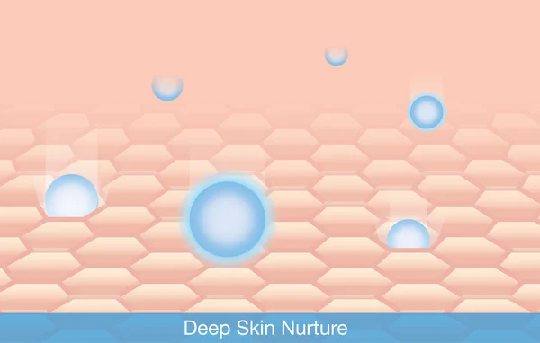 Deep Skin Nurture — Stock Vector