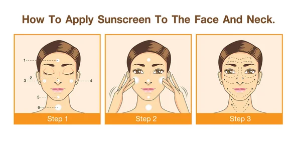 How to apply sunscreen to the face and neck — Stock Vector