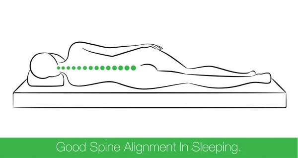 Buena alineación de la columna vertebral en el sueño . — Vector de stock