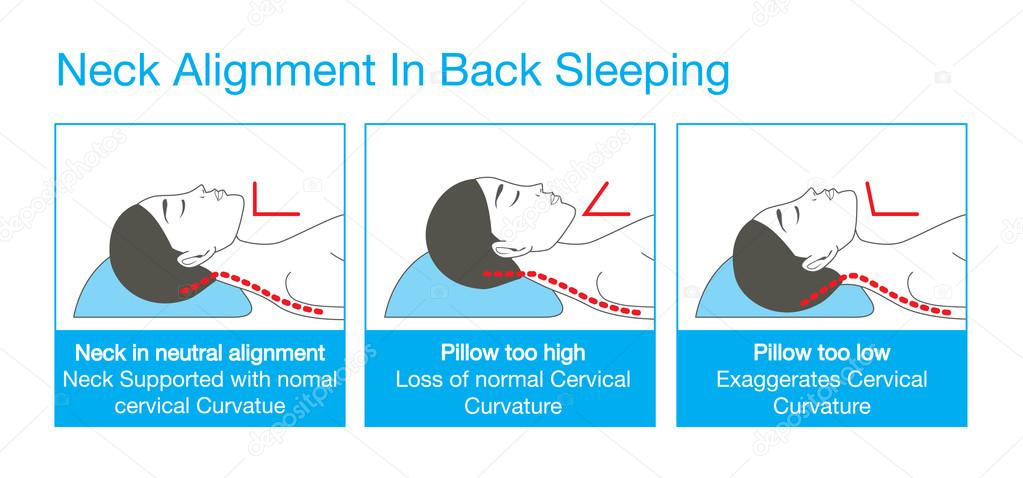 Neck alignment in back sleeping