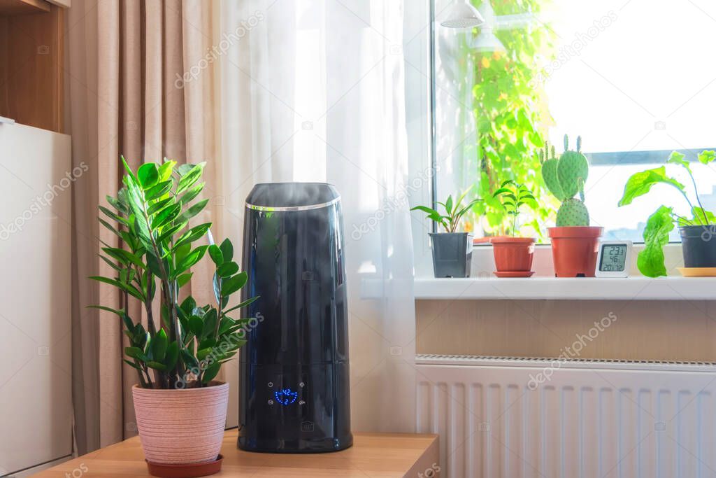 Indoor ornamental and deciduous plants on the windowsill and table in the apartment with a steam humidifier and thermometer to measure air temperature and humidity.