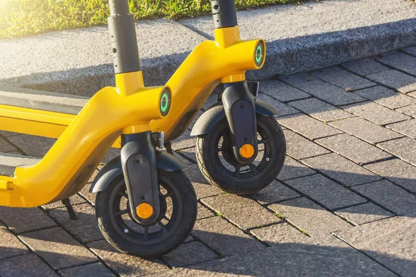 Scooters Électriques Rangée Sur Parking Système Location Vélos Ville Scooters — Photo