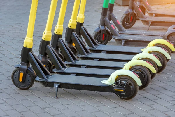 Scooters Électriques Rangée Sur Parking Système Location Vélos Ville Scooters — Photo