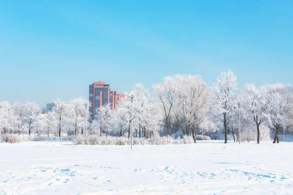 Parque Cidade Hoarfrost Após Uma Névoa Noturna Edifícios Residenciais Vários — Fotografia de Stock