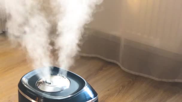 Humidificateur Propageant Vapeur Dans Salon Humidité Relative Normale — Video