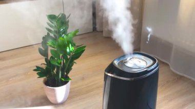 Şehir binalarının penceresinin dışındaki arka planda buhar nemlendiricisi olan bir apartmanın pencere pervazındaki iç dekoratif ve yaprak döken bitkiler var.