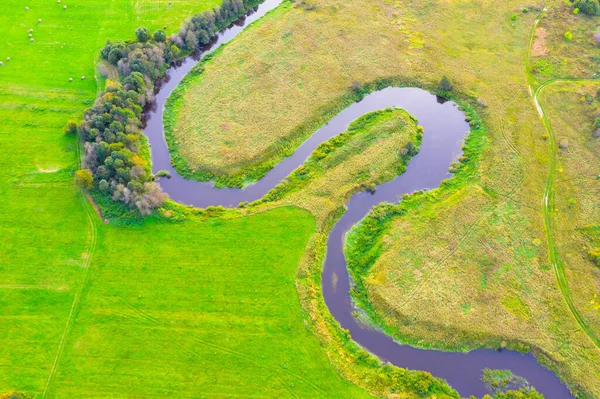 Slingrande Flod Slätt Med Träd Och Ängar Stranden Flygutsikt — Stockfoto