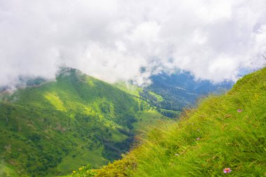 Orman dağlarındaki çayırlar, tepe ve bulutların manzarası.
