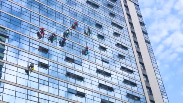Альпіністи Чистять Вікна Зовні Будівлі Миючи Скління Фасаду Багатоповерхового Будинку — стокове відео