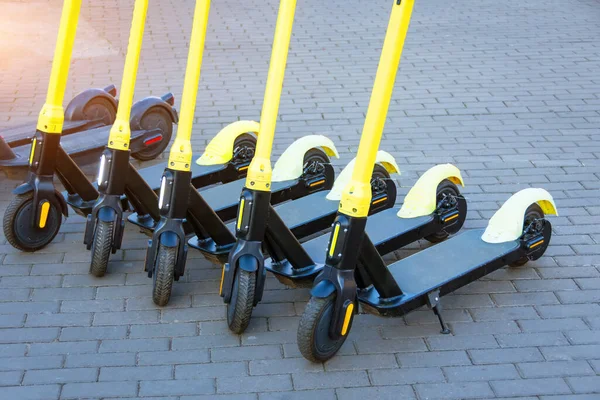 City Bike Rental System Public Kick Scooters Street Electric Scooters — Stock Photo, Image