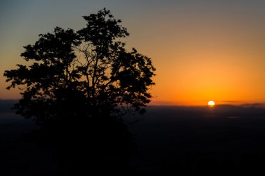 Gündoğumu ile güneş ve ağaç arkadan aydınlatmalı