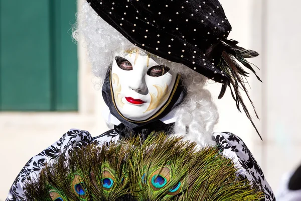 Carnaval de máscaras de Veneza Imagem De Stock