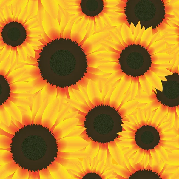 Illustration Vector Seamless Pattern Flower Sunflower