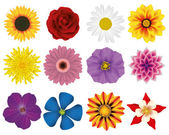 Картина, постер, плакат, фотообои "illustration vector graphic set flowers", артикул 107615920