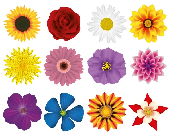 Illustration Vektor Grafik Set Blumen — Stockvektor