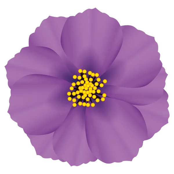 Векторный графический цветок — стоковый вектор