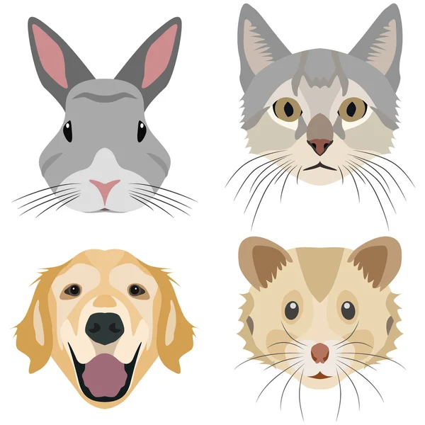 Collection of domestic animal heads — Stock Vector
