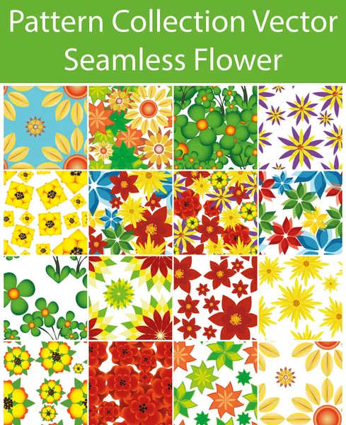 Pattern Collection Vector Seamless Flower — Stock Vector