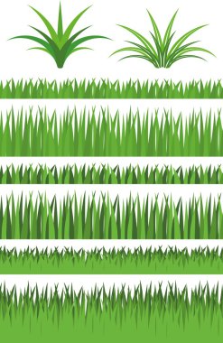 Illustration Vector Graphic Set Grass clipart